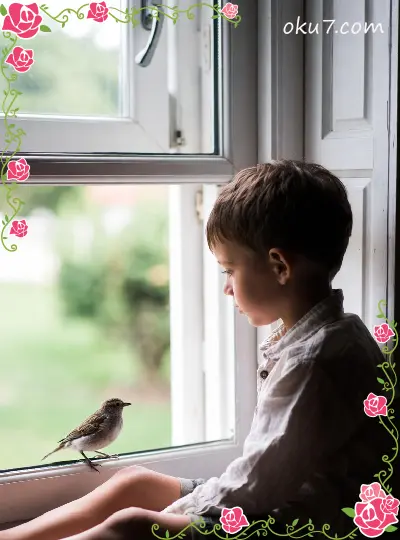 Cam Kenarındaki Çocuk